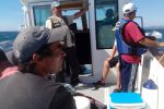 2015-07-04-pesca-desportiva-3